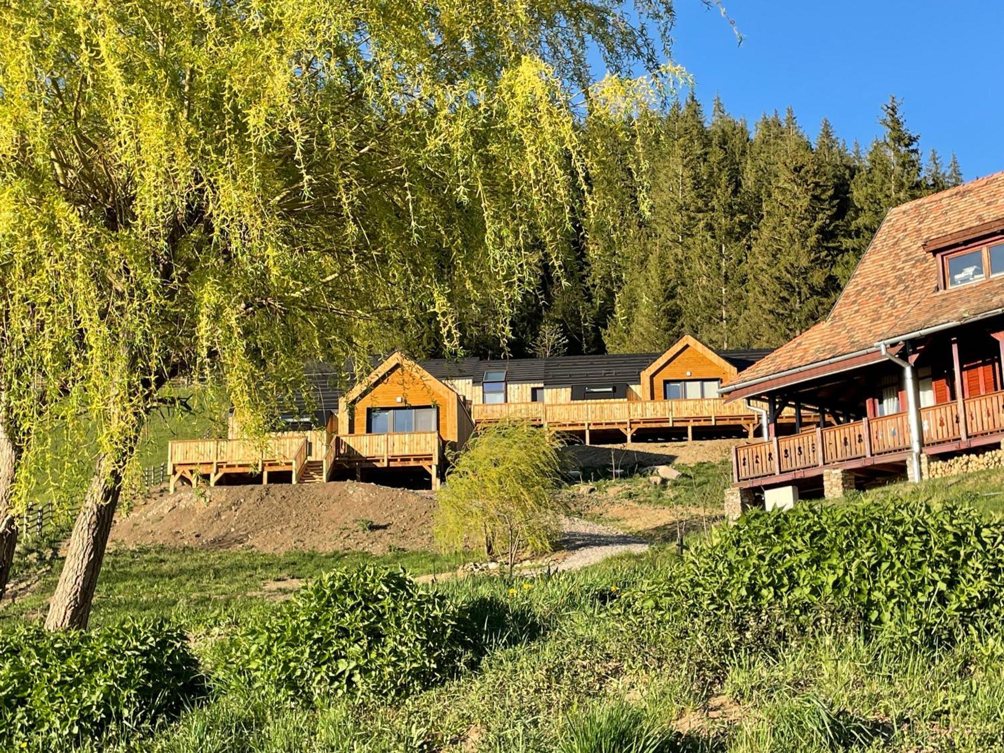 Kaliba Cabins Valea Boros 外观 照片